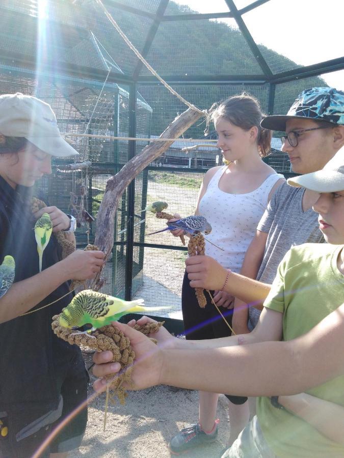 Parc Animalier Du Herisson Villa Дусиер Екстериор снимка