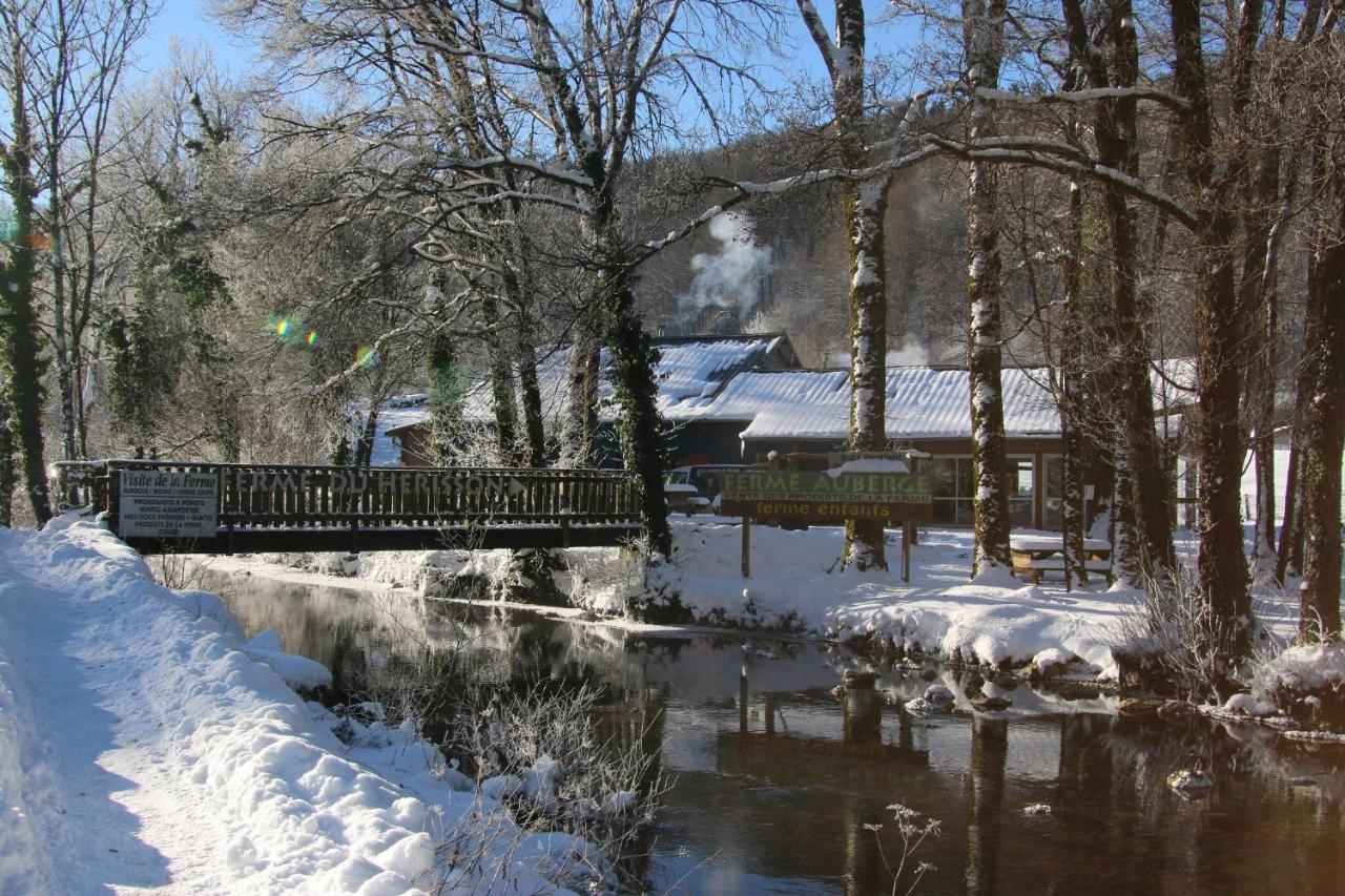 Parc Animalier Du Herisson Villa Дусиер Екстериор снимка