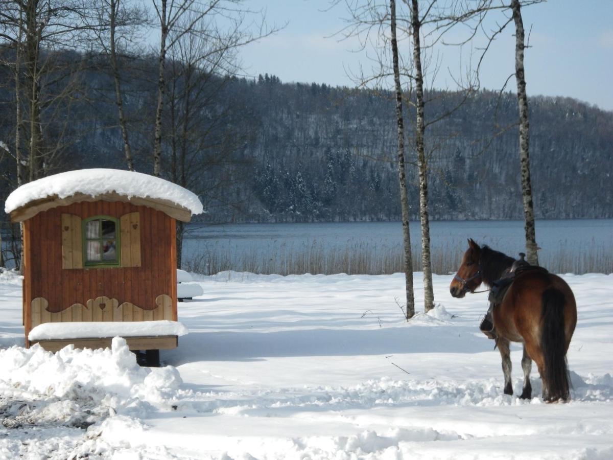Parc Animalier Du Herisson Villa Дусиер Екстериор снимка