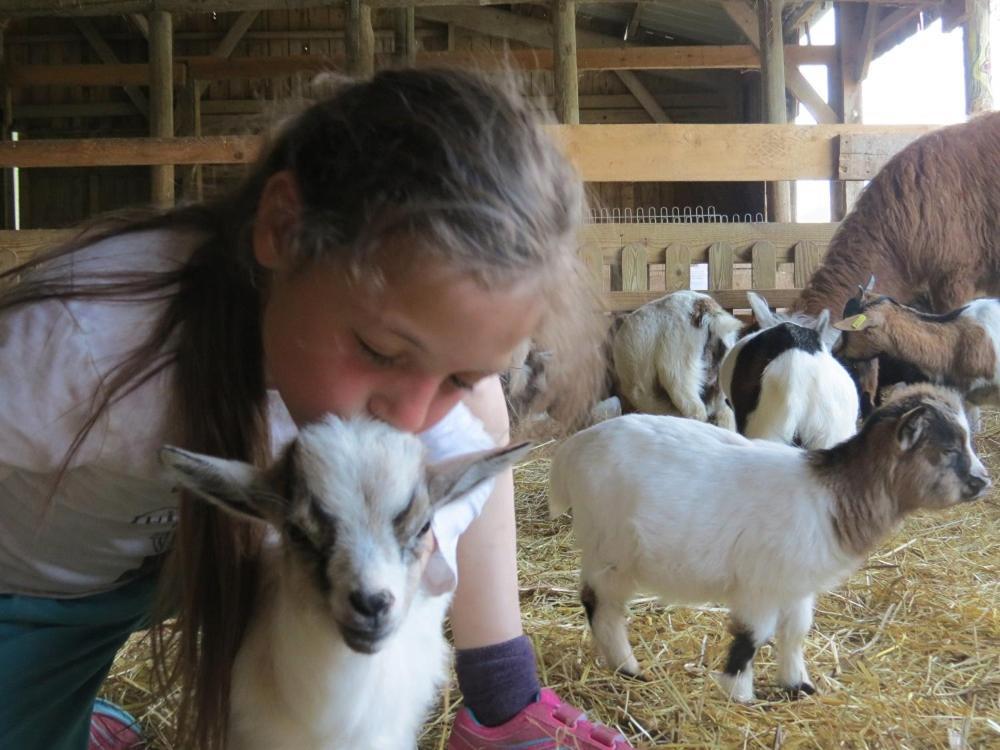 Parc Animalier Du Herisson Villa Дусиер Екстериор снимка