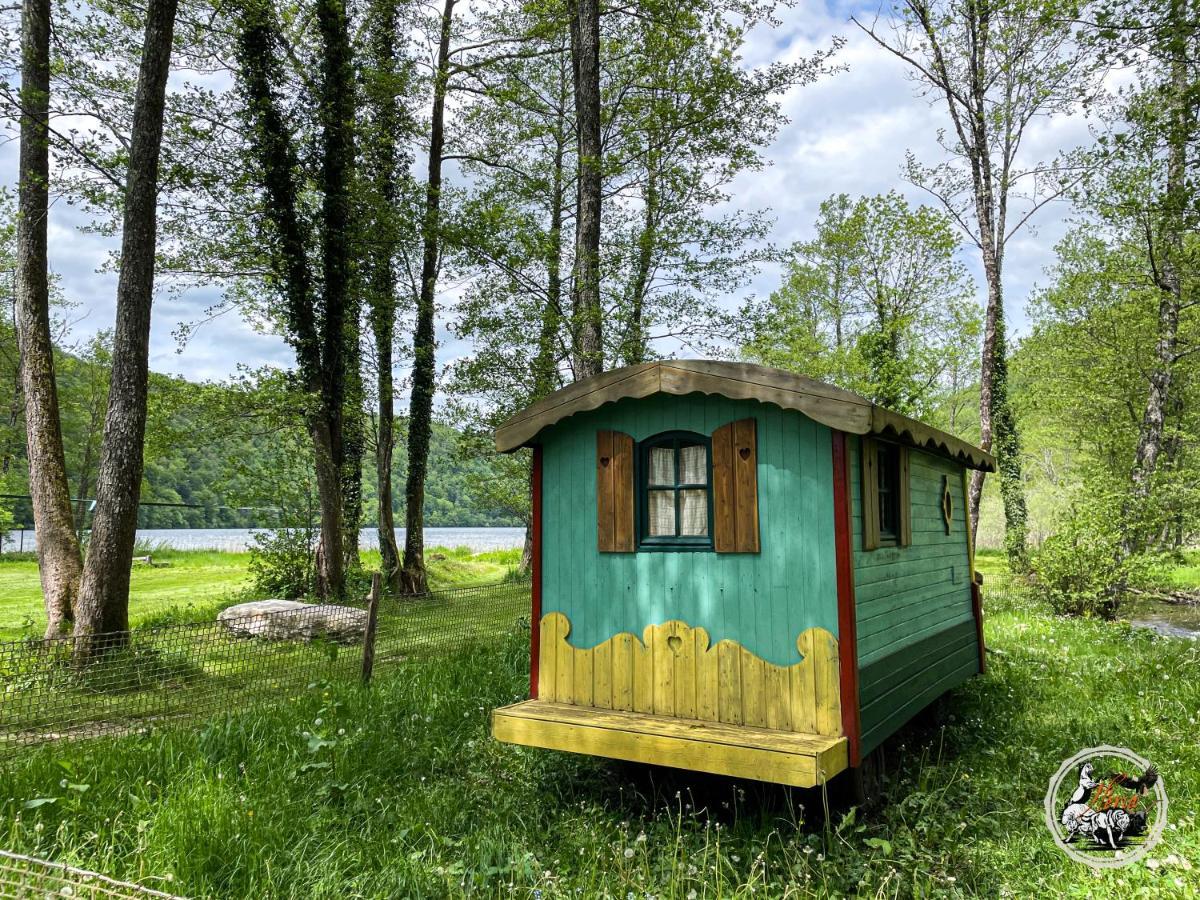 Parc Animalier Du Herisson Villa Дусиер Екстериор снимка
