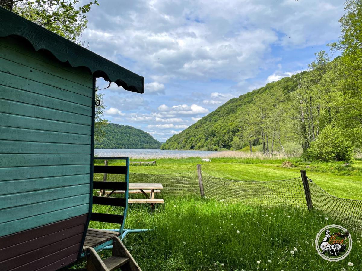 Parc Animalier Du Herisson Villa Дусиер Екстериор снимка
